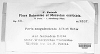 Poria sanguinolenta image